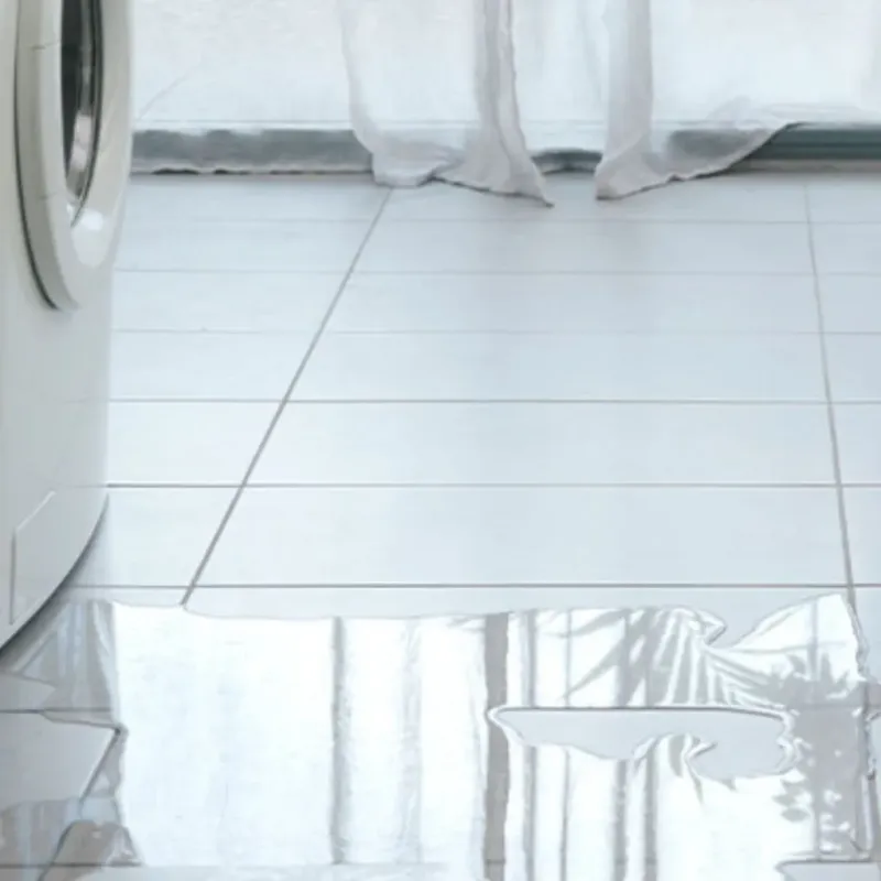 Appliance Leak Cleanup in North Beach Haven, NJ