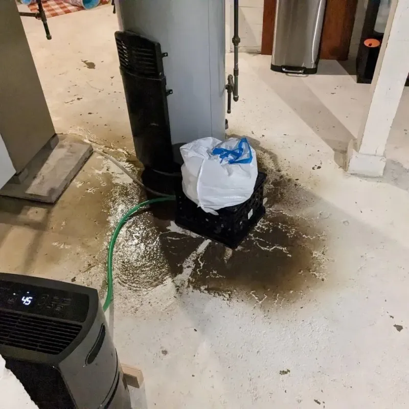 Sewage Backup Cleanup Service in North Beach Haven, NJ